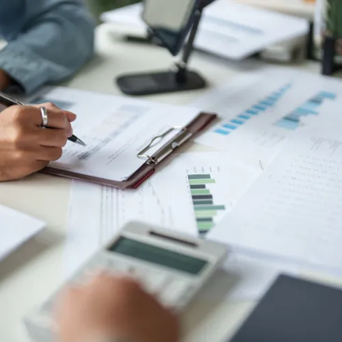 Professional Services