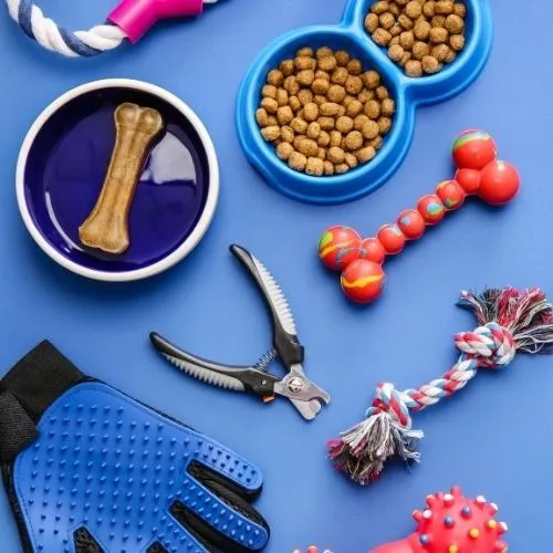 Pets & Veterinary
