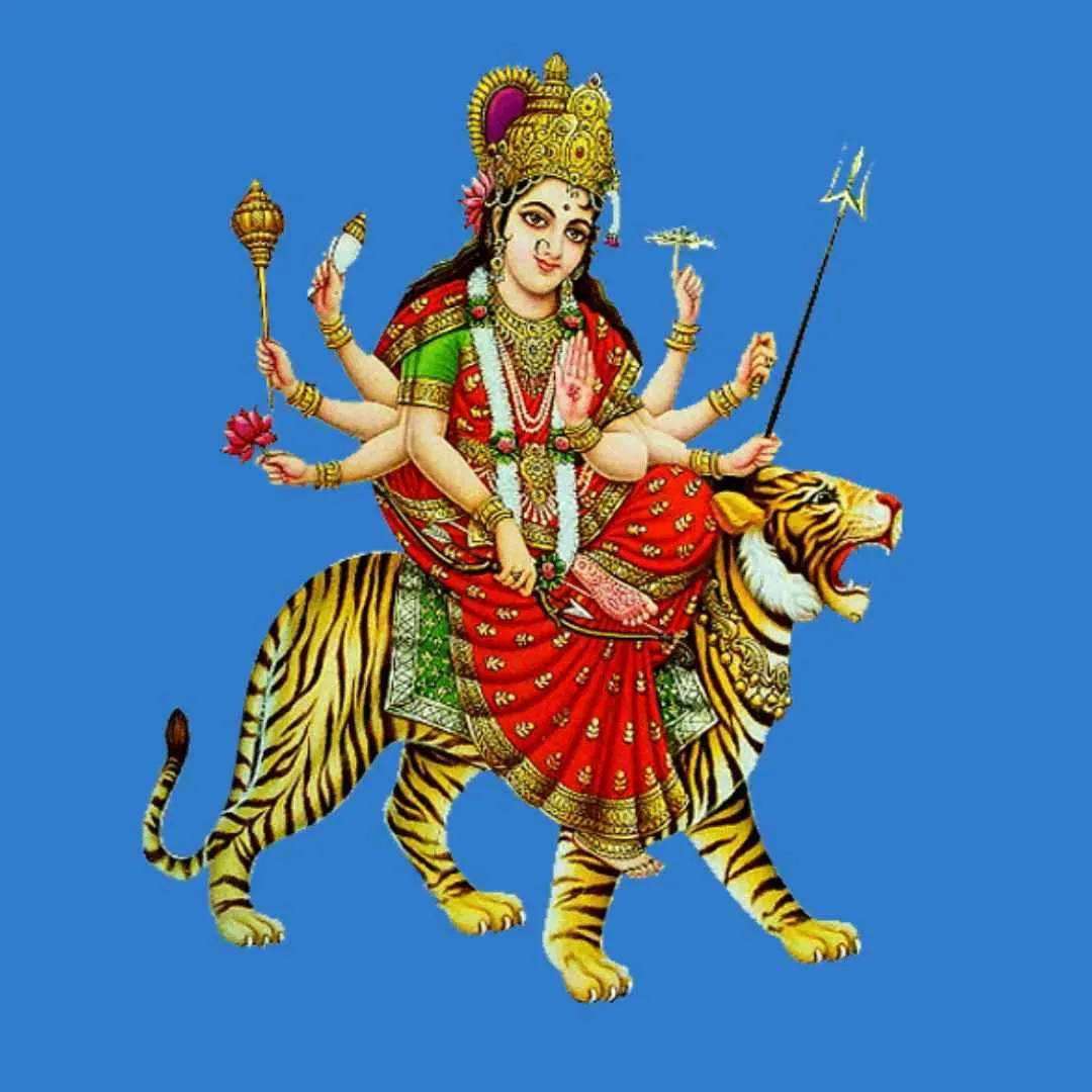OM DURGA PLYWOODS logo