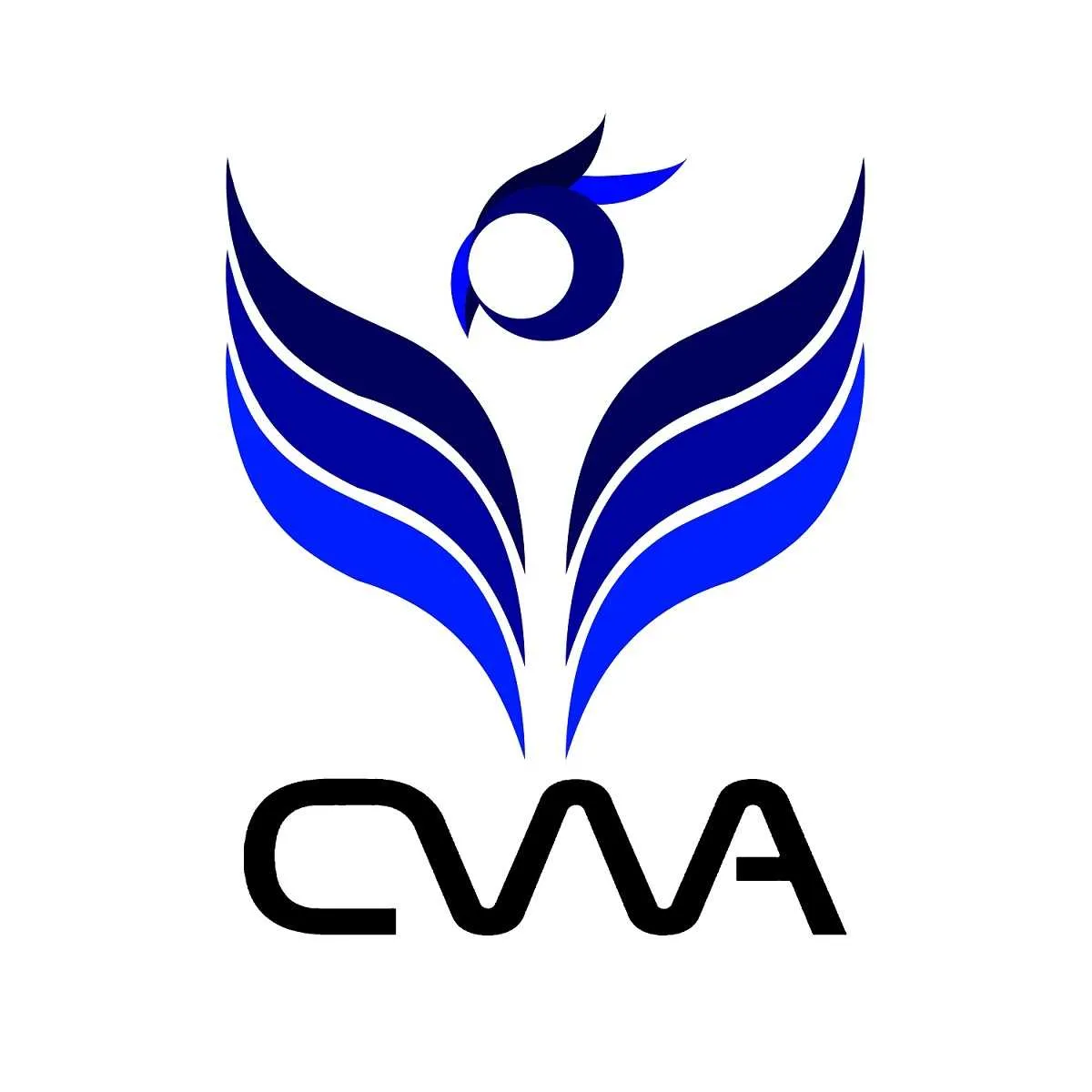 COASTAL WINGS ACADEMY OF COMPETITIVE EXAMS logo